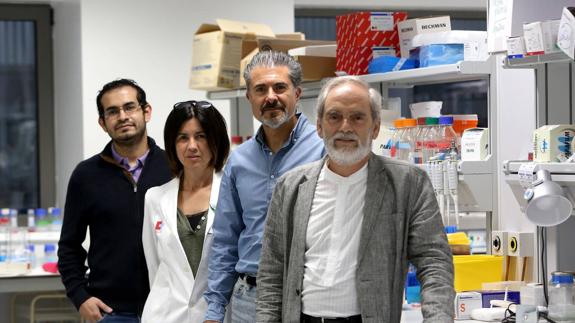 Investigadores de Valdecilla descubren cómo combatir el tumor cerebral más letal