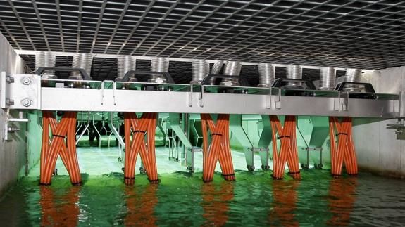 Cantabria lamenta la "prepotencia" del Ministerio por no avisarle de la licitación de Vuelta Ostrera