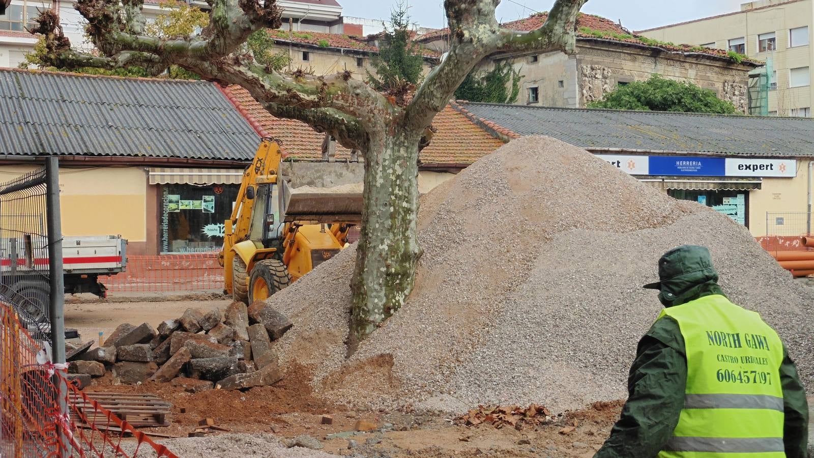 Los árboles de la Plaza de Abastos "no se tocan"