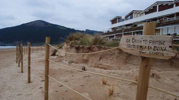 Cantabria refuerza la conservación de las dunas de Berria