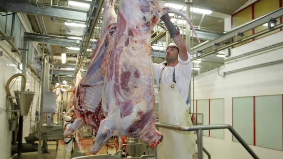 El matadero de Torrelavega necesita una inversión superior al millón de euros