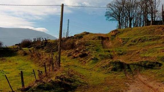 Los voluntarios de Provoca plantarán cien árboles autóctonos en Reinosa