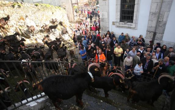 Miles de personas acuden a la feria de Todos los Santos en Arredondo