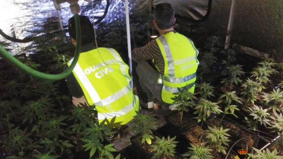 Detenido con 356 plantas de marihuana tras incendiarse el garaje de su casa