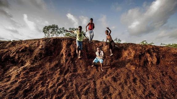 Cuatro ventanas al drama humano