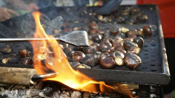 Magosta solidaria en Santander