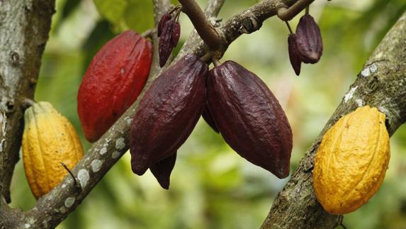 Alimentos de ida y vuelta