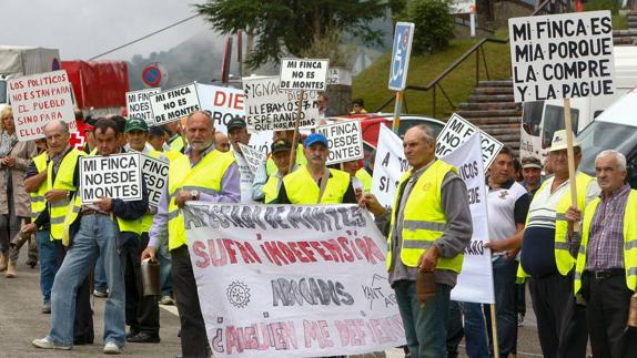Escrituras y testamentos servirán para probar la propiedad de fincas afectadas por la Ley de Montes