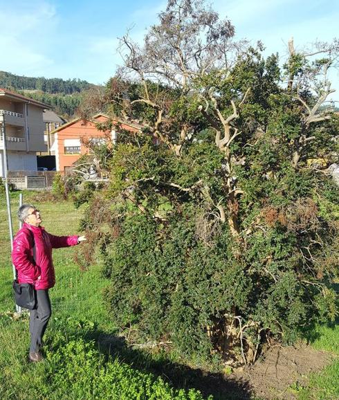 Los Corrales de Buelna hace inventario de su riqueza natural