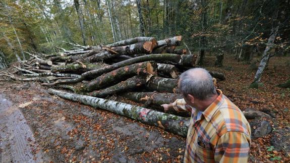 La Consejería niega las talas indiscriminadas en el Parque Natural Saja-Besaya