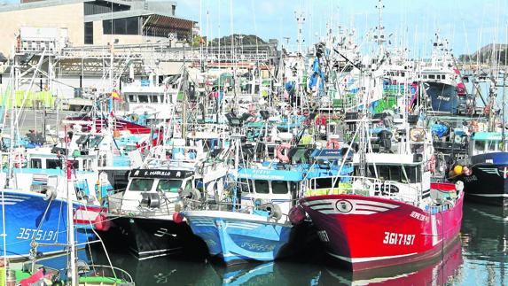 La lonja de San Vicente cierra el año con una caída del 7%