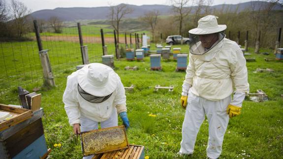 La miel de Campoo-Los Valles pierde su denominación de origen protegida