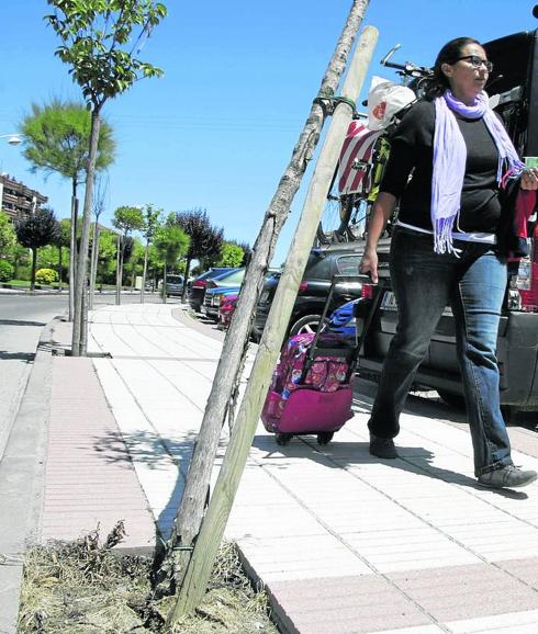 Castro localiza a varios autores de actos vandálicos contra el mobiliario urbano