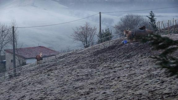 Cantabria amanece bajo cero