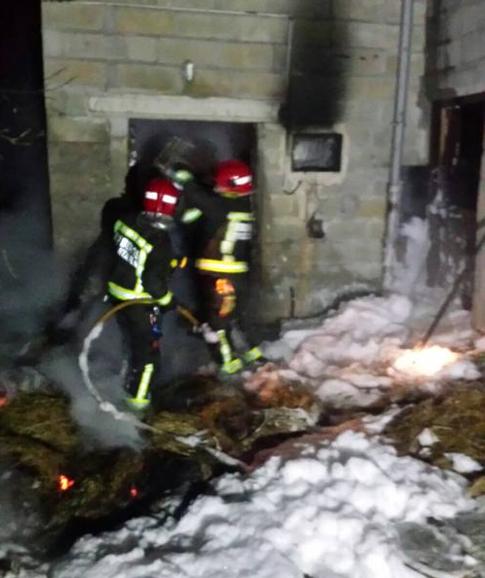 Dos vacas calcinadas en el incendio de un pajar en Tarriba