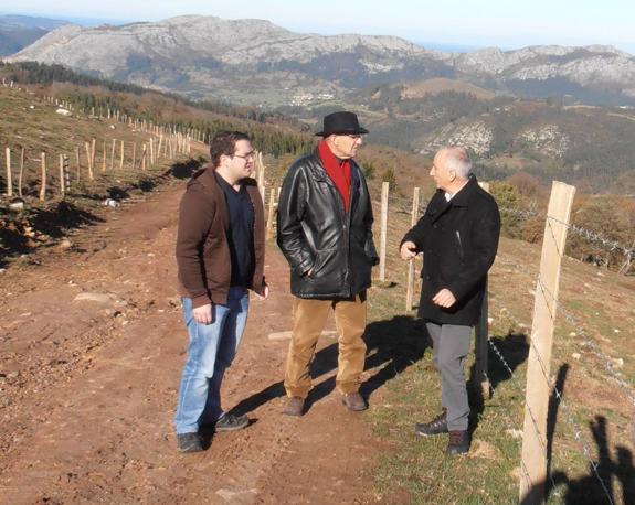 San Felices regenera sus montes con más de 20.000 nuevos árboles