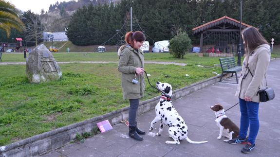 Denuncian la presencia de comida para perros con agujas en parques de Los Corrales