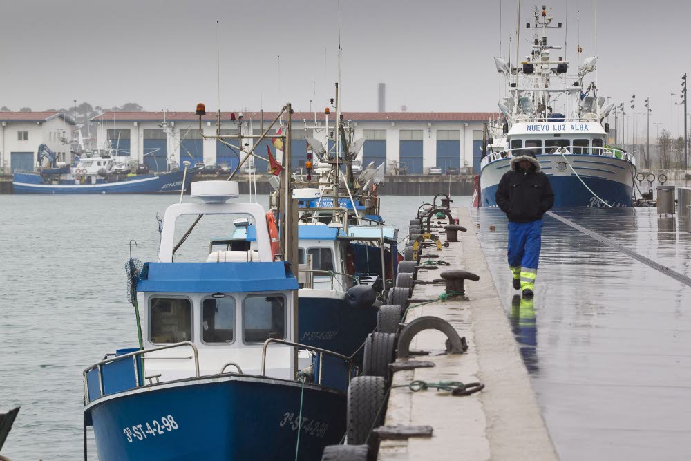 Cantabria tiene 485 industrias agroalimentarias, la mayoría pesqueras