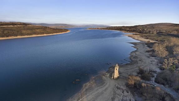 El peligroso mejillón cebra está a las puertas del pantano del Ebro