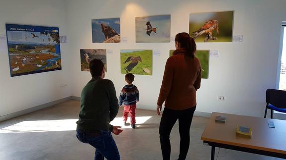 El Centro del Parque de Oyambre ofrece la exposición 'Alas en el objetivo'