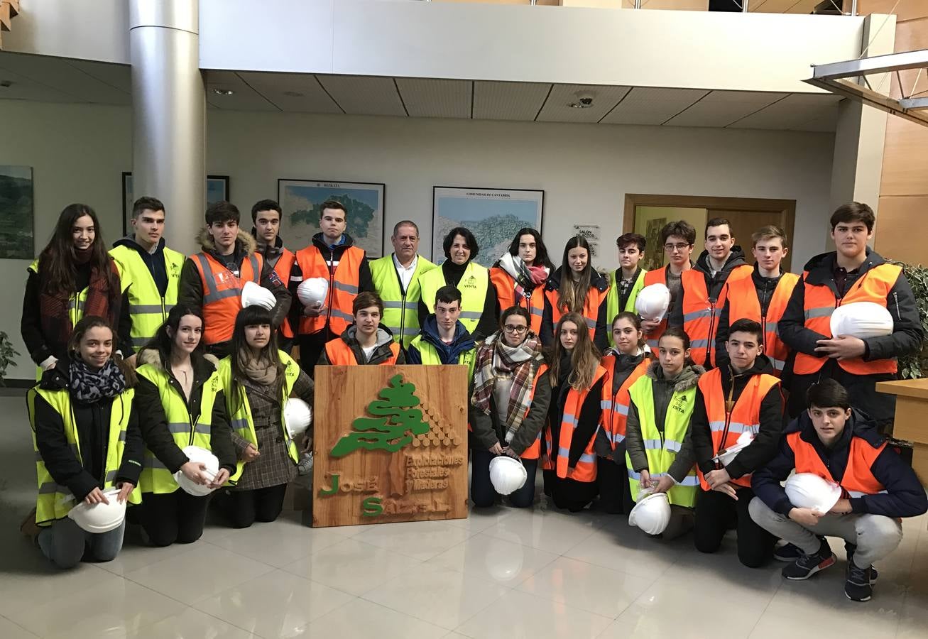 La industrialización de la madera