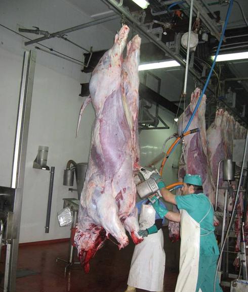 Nadie quiere gestionar el matadero de Liébana