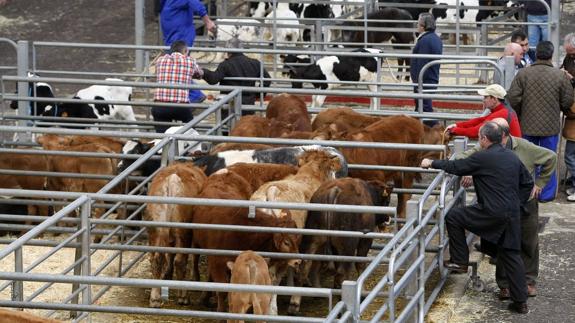 Los ganaderos convocan una manifestación para pedir respeto al mundo rural