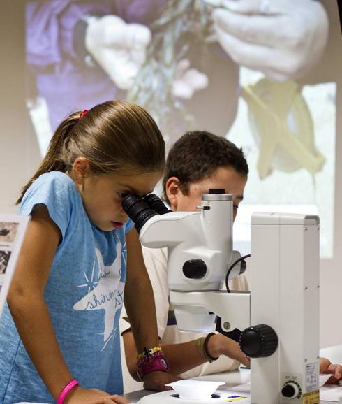 Ciencia por la igualdad de oportunidades