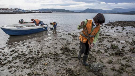 Mariscadores de Santoña se enfrentan al Gobierno por el cierre de caladeros