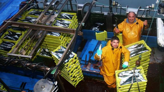 Las costeras del verdel, bocarte y bonito, a debate en El Diario