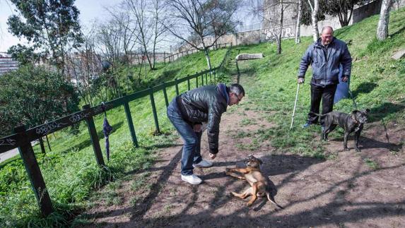 Asociaciones y usuarios critican la "dejadez" de todas las zonas de esparcimiento canino