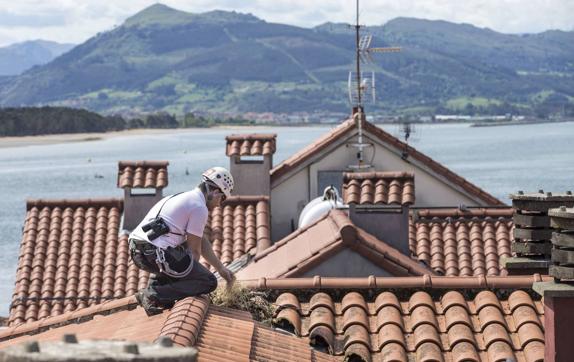 Santoña promueve una nueva campaña para eliminar nidos de gaviota de los tejados