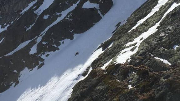 Rescatado un esquiador de 61 años tras romperse una pierna en Peña Prieta