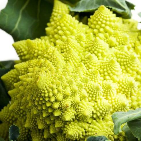 El romanesco