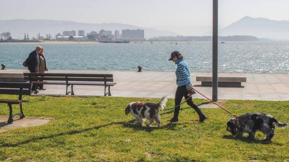 Santoña sanciona a 25 dueños de perros por ensuciar las calles de la villa