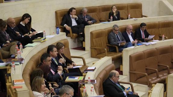 El Parlamento solicita al Estado la legalización del cannabis con uso terapéutico