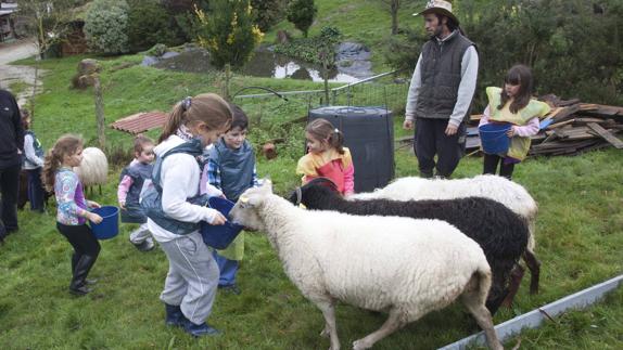 La Granja de La Garma vuelve a abrir sus puertas a los vecinos más jóvenes