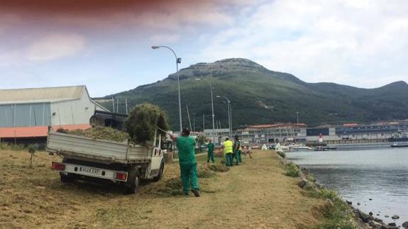 Medio Ambiente quiere contratar a 28 parados con la ayuda de Corporaciones