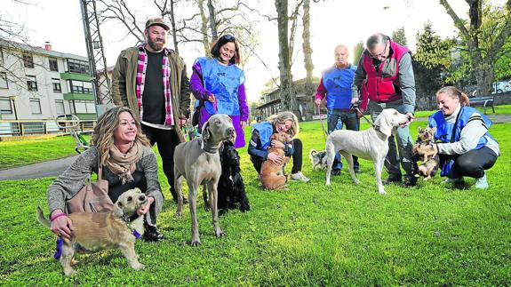 Cabezón busca el bienestar de sus perros