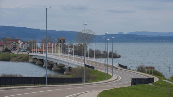 Detectan ejemplares de almeja asiática en el pantano del Ebro