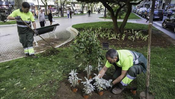 La Alameda mejora con nuevas plantas y árboles y arreglos en bancos y accesos