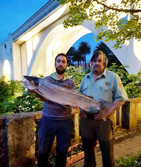 Pescado un salmón de 8,4 kilos en el Pas