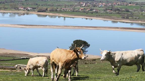 La toma de 7 hectómetros de agua del pantano del Ebro garantizaría el abastecimiento este verano