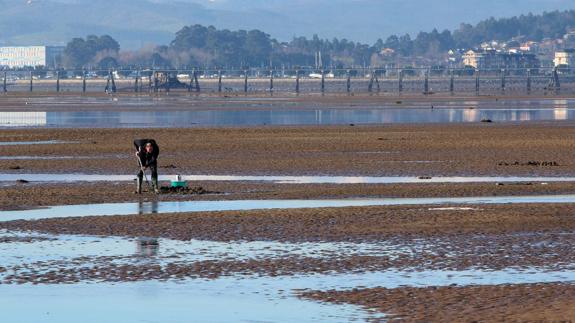 Este martes entra en vigor la orden que regula la actividad marisquera en Cantabria