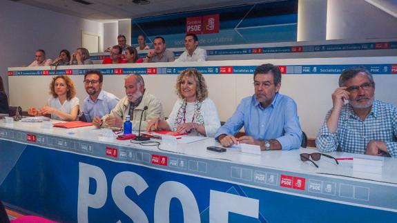 Tezanos apuesta por la “integración” del PSOE de cara al Congreso y evitar la división “interna”