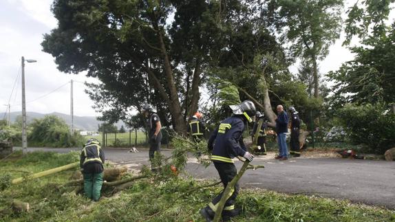 El fuerte viento provoca casi un centenar de incidencias, pero ninguna grave