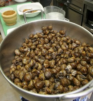 El caracol tiene mucho colesterol